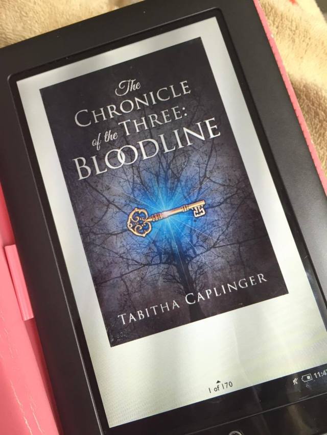 13120779_10206596787780891_2100197112_o